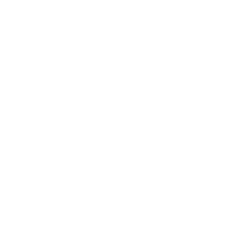 CORINA M3281
